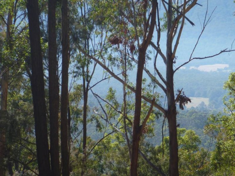 239 Lurcocks Creek Road, Glenreagh NSW 2450
