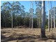 239 Lurcocks Creek Road, Glenreagh NSW 2450