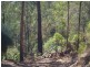 239 Lurcocks Creek Road, Glenreagh NSW 2450