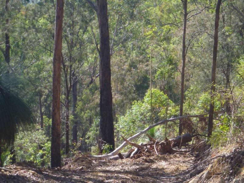 239 Lurcocks Creek Road, Glenreagh NSW 2450