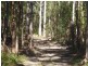 239 Lurcocks Creek Road, Glenreagh NSW 2450