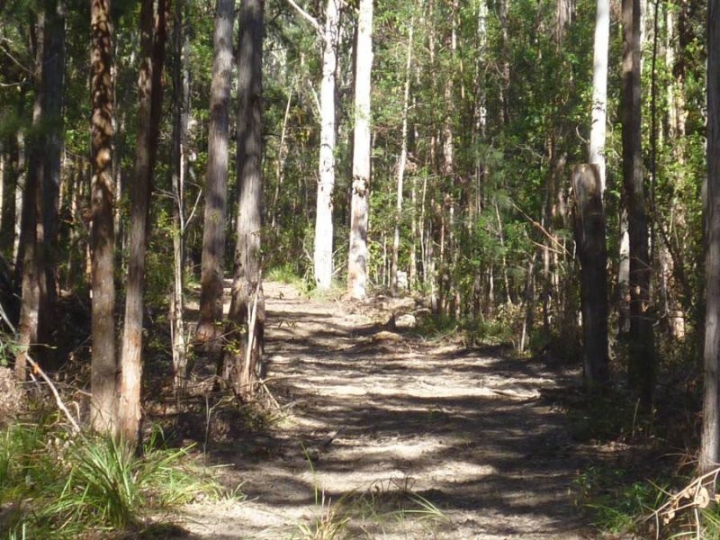 239 Lurcocks Creek Road, Glenreagh NSW 2450