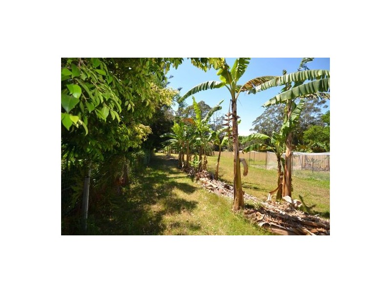 144 Sawtell Road, Toormina NSW 2452