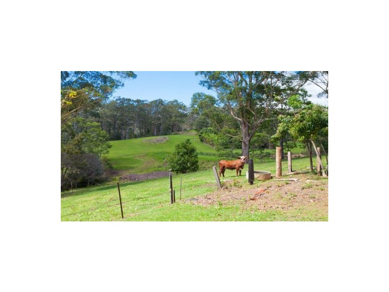707 Valla Road, Valla NSW 2448