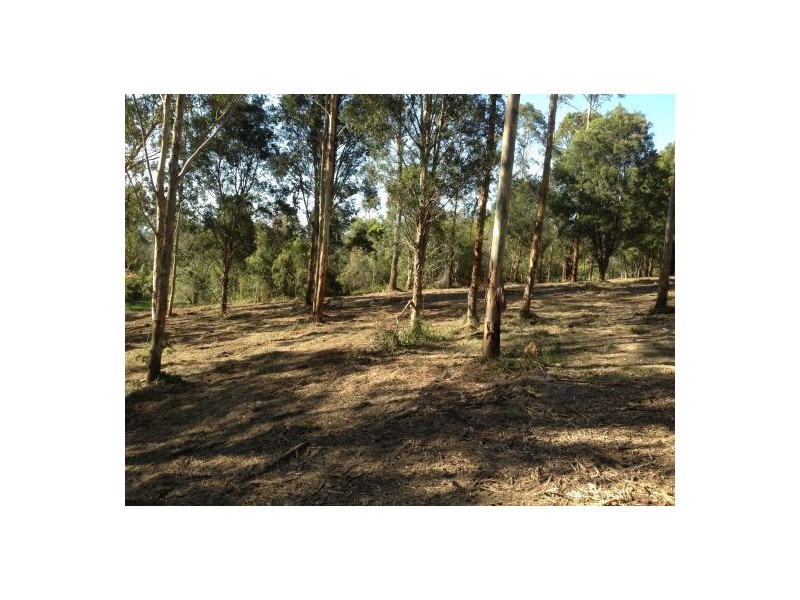 Lot 32 Bucca Road, Nana Glen NSW 2450