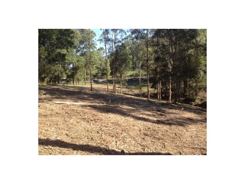 Lot 32 Bucca Road, Nana Glen NSW 2450