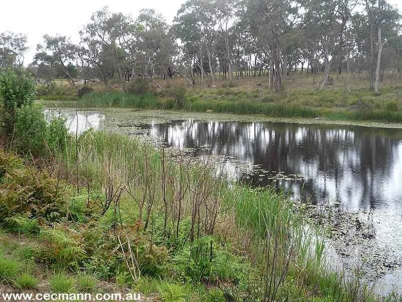 Lot 4 Texas Road, Stanthorpe QLD 4380