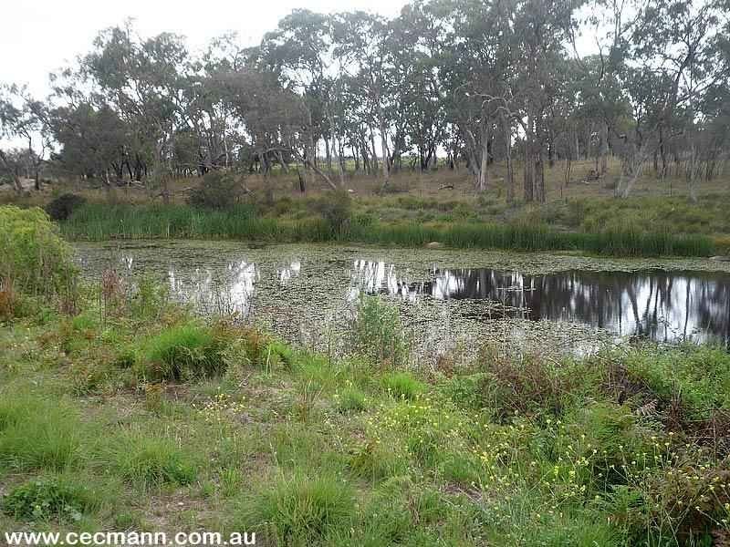 Lot 4 Texas Road, Stanthorpe QLD 4380