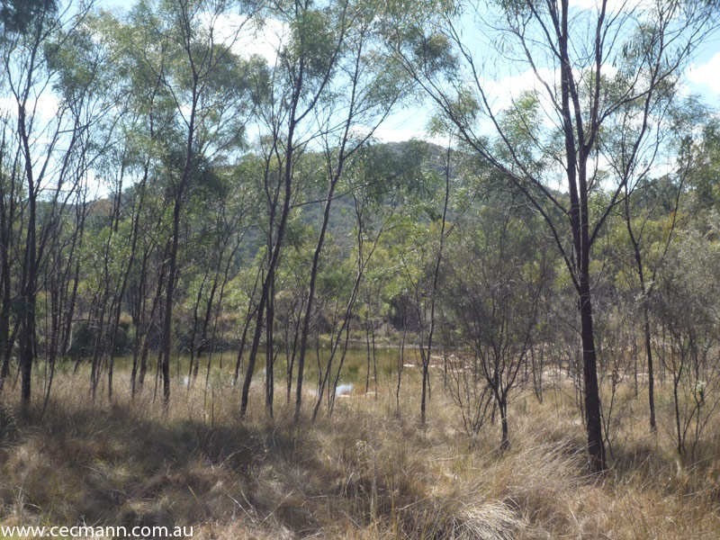 L2 Watters Road, Ballandean QLD 4382