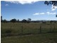 Mt Norman Road, Wallangarra QLD 4383