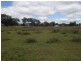 Mt Norman Road, Wallangarra QLD 4383