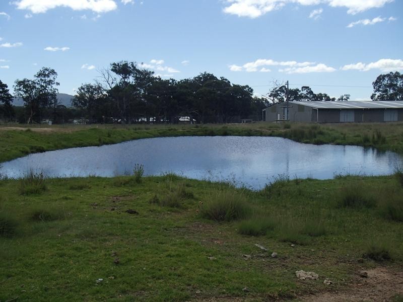 Mt Norman Road, Wallangarra QLD 4383