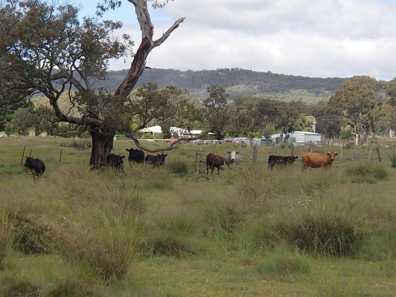 Mt Norman Road, Wallangarra QLD 4383