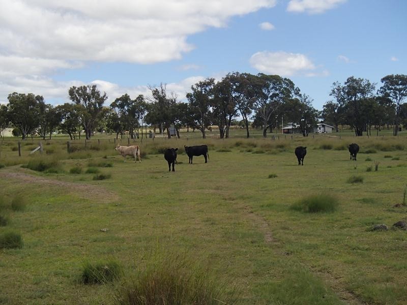 Mt Norman Road, Wallangarra QLD 4383