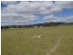 Mt Norman Road, Wallangarra QLD 4383