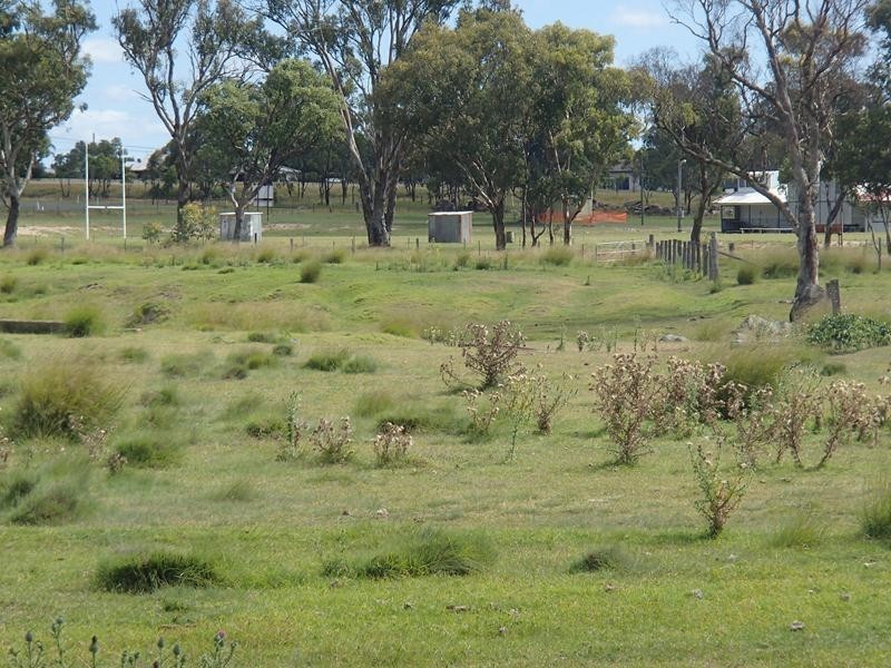 Mt Norman Road, Wallangarra QLD 4383