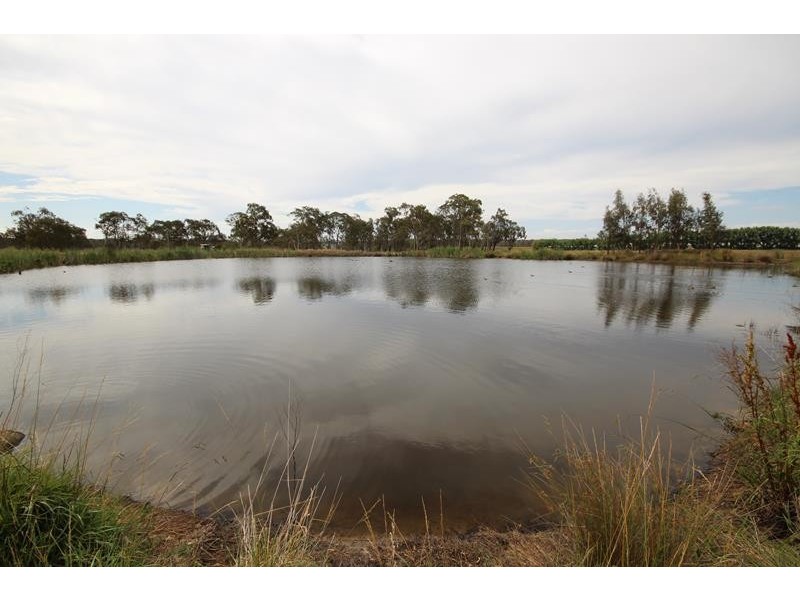141 Aerodrome Road, Applethorpe QLD 4378