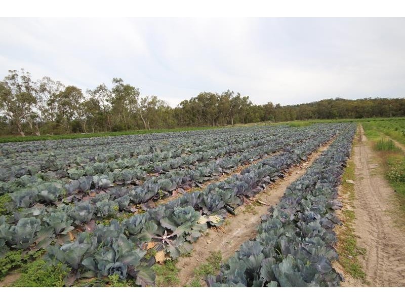 141 Aerodrome Road, Applethorpe QLD 4378