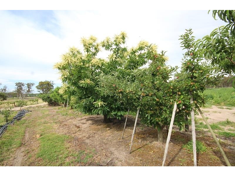 141 Aerodrome Road, Applethorpe QLD 4378