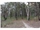 1178 Eukey Road, Eukey QLD 4380