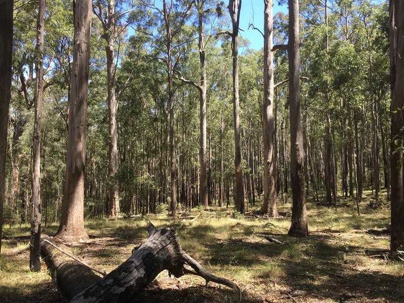 000 Boonoo Boonoo Area, Boonoo Boonoo NSW 2372