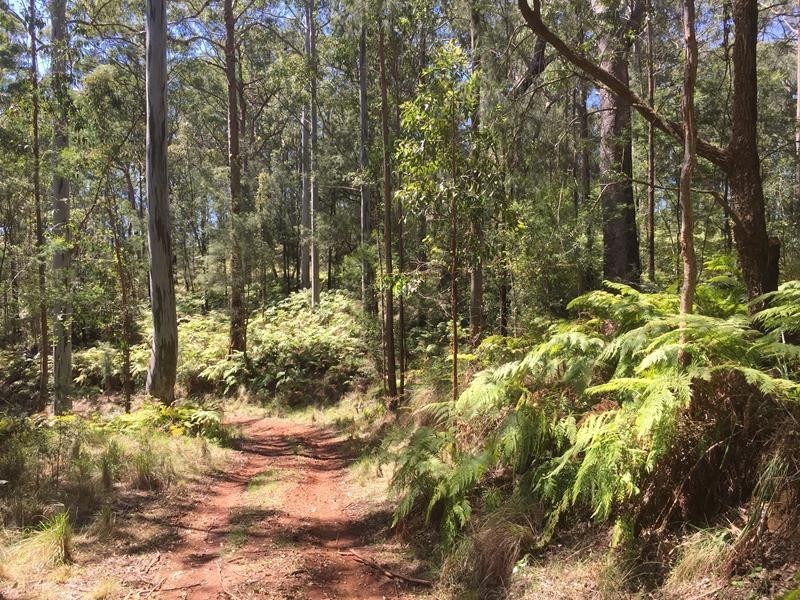 000 Boonoo Boonoo Area, Boonoo Boonoo NSW 2372