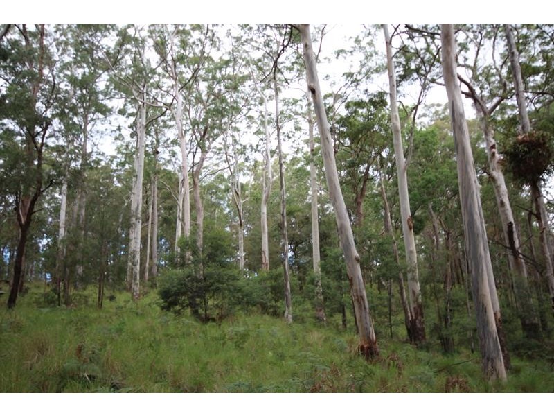 000 Boonoo Boonoo Area, Boonoo Boonoo NSW 2372