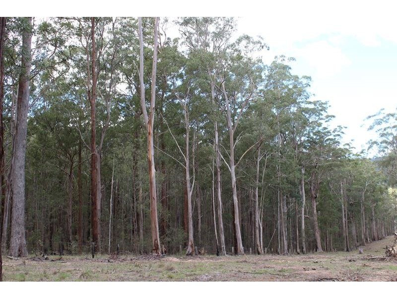 000 Boonoo Boonoo Area, Boonoo Boonoo NSW 2372