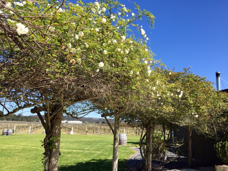 291 Granite Belt Drive, Thulimbah QLD 4376