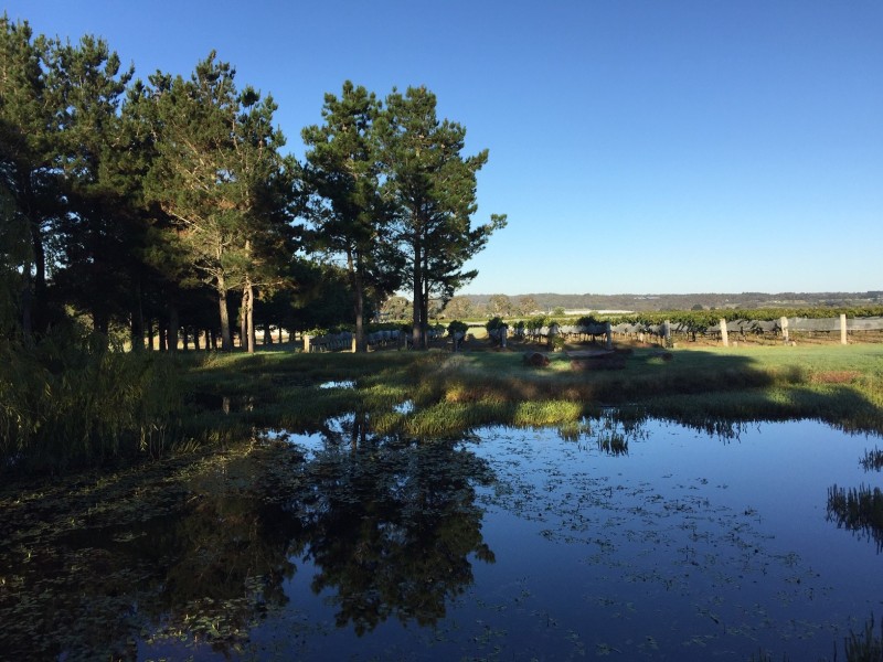 291 Granite Belt Drive, Thulimbah QLD 4376