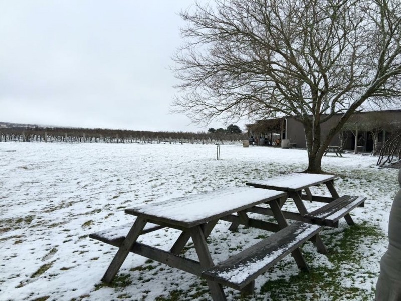 291 Granite Belt Drive, Thulimbah QLD 4376