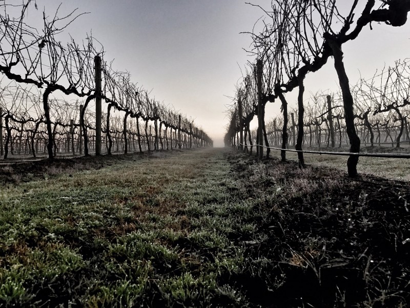 291 Granite Belt Drive, Thulimbah QLD 4376