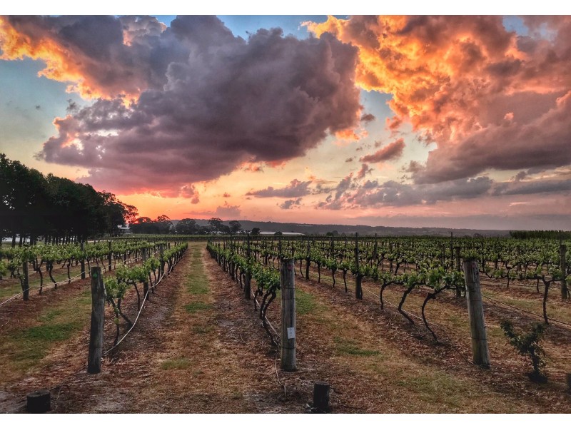 291 Granite Belt Drive, Thulimbah QLD 4376