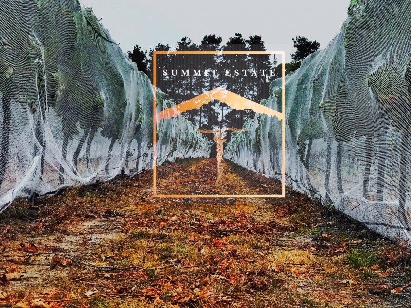 291 Granite Belt Drive, Thulimbah QLD 4376