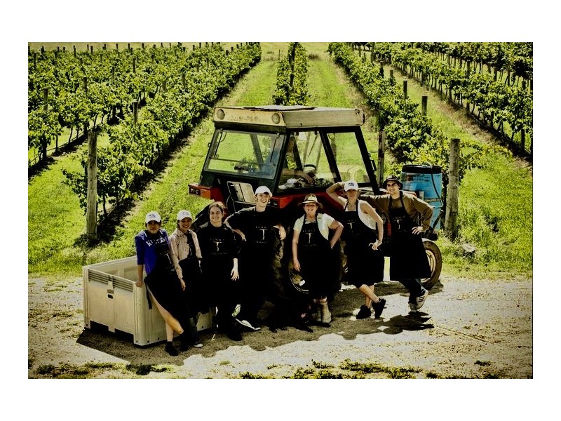 291 Granite Belt Drive, Thulimbah QLD 4376