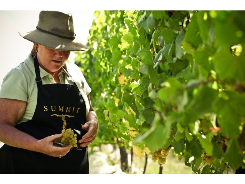 291 Granite Belt Drive, Thulimbah QLD 4376