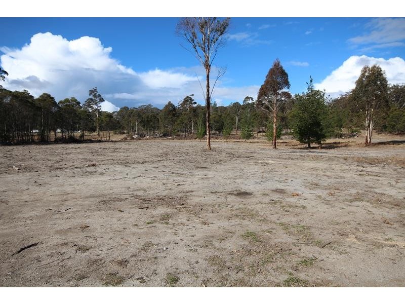 Lot 168 South Drive, Sugarloaf QLD 4380