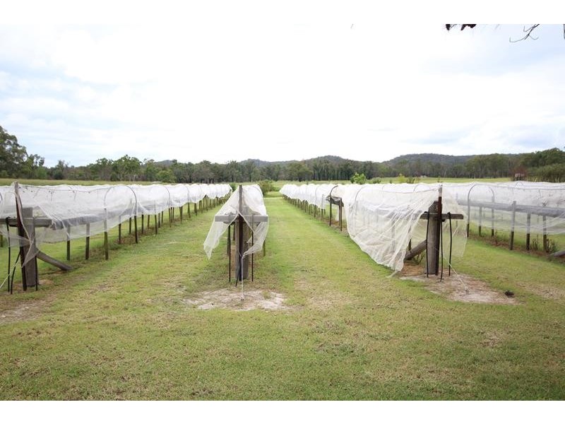 316 Amiens Road, Stanthorpe QLD 4380