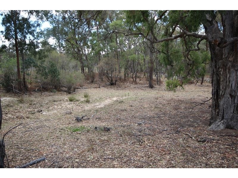 470 Jimmy Mann Road, Broadwater QLD 4380