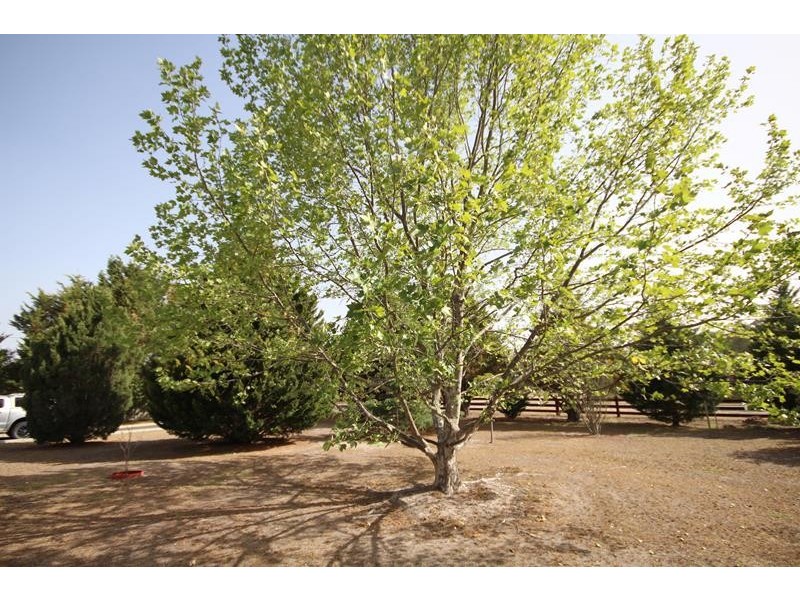 58 Sugarloaf Road, Stanthorpe QLD 4380