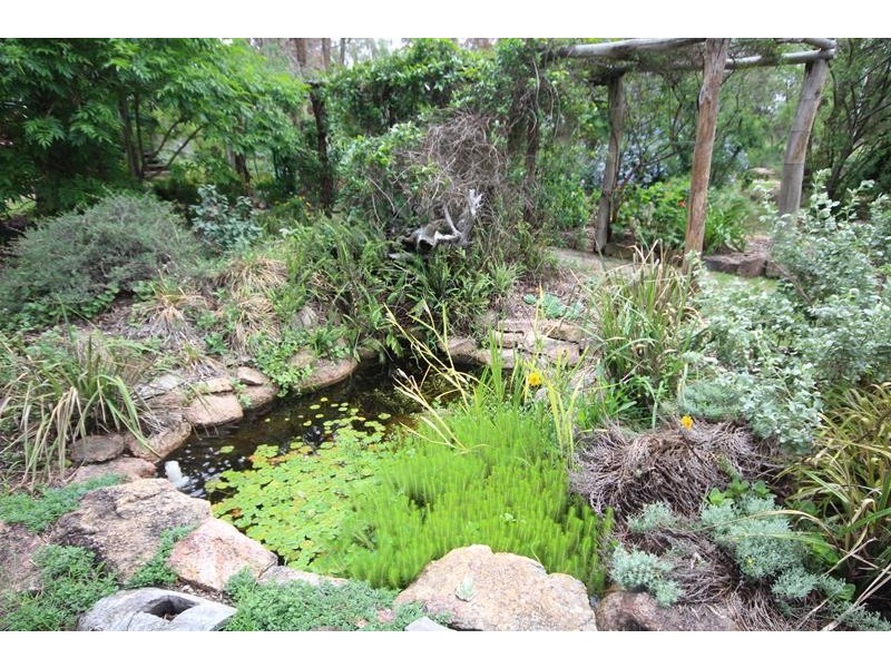 1587 Texas Road, Greenlands QLD 4380