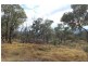 Lot 81 New England Highway, Wyberba QLD 4382
