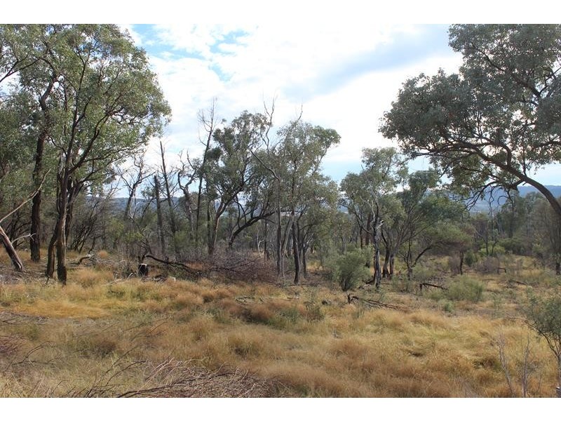 Lot 81 New England Highway, Wyberba QLD 4382