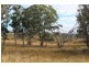 Lot 81 New England Highway, Wyberba QLD 4382