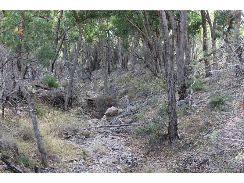 Lot 81 New England Highway, Wyberba QLD 4382