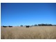 Lot 1 Mt Hutton Road, Greenlands QLD 4380