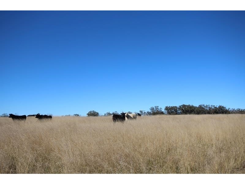 Lot 1 Mt Hutton Road, Greenlands QLD 4380