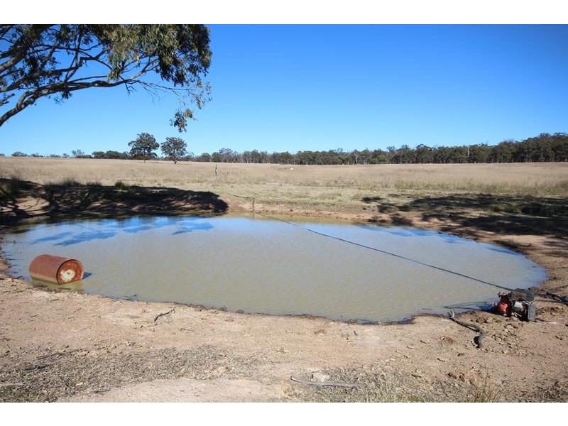Lot 1 Mt Hutton Road, Greenlands QLD 4380