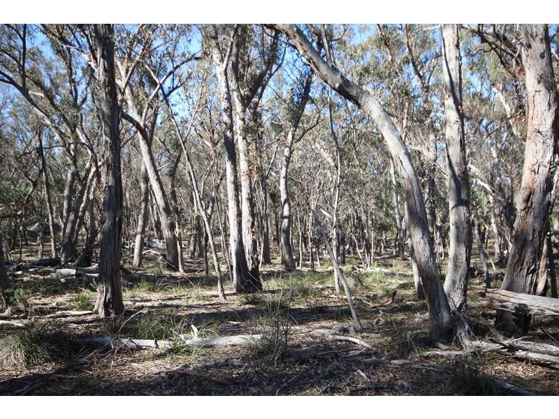 Lot 1 Mt Hutton Road, Greenlands QLD 4380