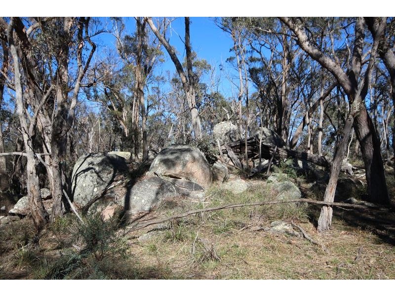 Lot 1 Mt Hutton Road, Greenlands QLD 4380